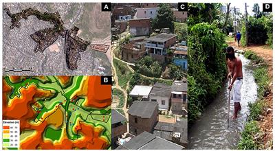 Biannual and Quarterly Comparison Analysis of Agglutinating Antibody Kinetics on a Subcohort of Individuals Exposed to Leptospira interrogans in Salvador, Brazil